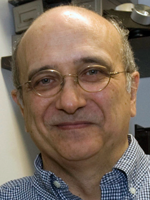 Prof. Aurel A. Lazar